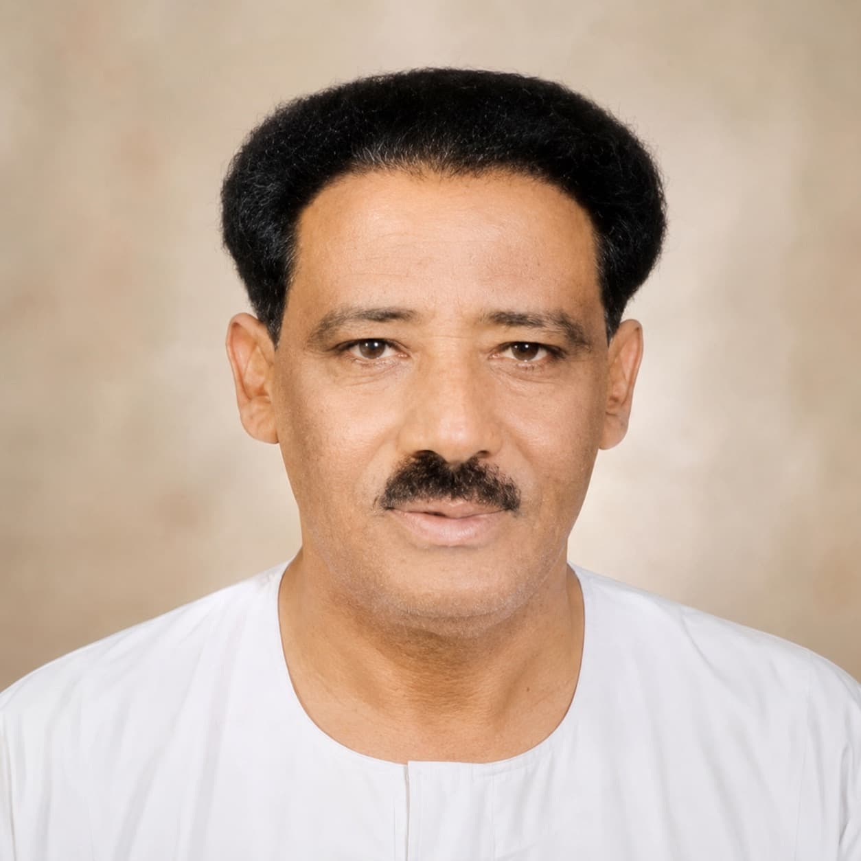 أنور محمدين